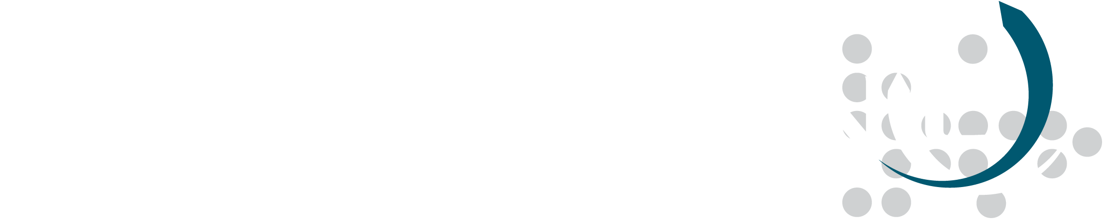 LOGO_blanc-vectoriel